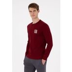 U.S. Polo Assn. Erkek Regular Fit Bisiklet Yaka Bordo Sweatshirt 50293456-VR014