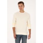 U.S. Polo Assn. Erkek Regular Fit Bisiklet Yaka Desenli Krem Sweatshirt 50308917-VR256 - İnci
