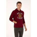 U.S. Polo Assn. Erkek Regular Fit Kapüşonlu Şardonlu Bordo Sweatshirt 50308999-VR014