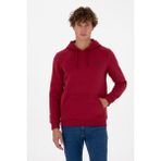 U.S. Polo Assn. Erkek Regular Fit Kapüşonlu Şardonlu Koyu Frambuaz Basic Sweatshirt 50315582-VR104 - 3XL