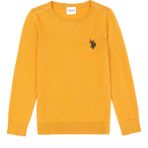 U.S. Polo Assn. Kız Çocuk Hardal Renk Desenli Bisiklet Yaka Kazak / Triko 50275851-VR072 - 9 - 10 Yaş