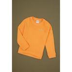 U.S. Polo Assn. Kız Çocuk Turuncu Bisiklet Yaka Sweatshirt 50317991-VR244 - Mango - 6 - 7 Yaş