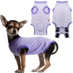 Uadonile Köpek Cerrahisi Kurtarma Takımı, Köpek Erkek Kadın için Cerrahi Kurtarma Elbisesi, Spay Neuter Köpek Kurtarma Takımı, Koni Alternatif Köpek Cerrahi Tulum Mor, X-Small