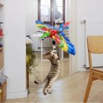 Uçan Papağan Kedi Oyuncağı - Renkli