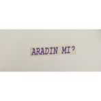Üçel “aradın Mı?” Yapışkanlı Araç Sticker Yazı Araç Arkası Yazı Oto Cam Etiket Sticker Yazı