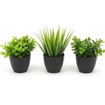 Üçlü Mini Yapay Sukulent Seti – 8 cm Saksı, Dekoratif Küçük Bitki Seti, Gerçekçi Görünüm, Salon Ofis Ev Masa Üstü Süs Bitkisi, Bakım Gerektirmez, Modern Dekor (SİYAH)