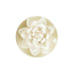 Uçucu yağlar için koku taşlı, uçucu yağlar için difüzör, aroma koku taşı, lotus çiçeği, mini difüzör taş seti, ahşap tütsü kutusu, yatak odası, oturma odası, spa ve banyo dekorasyonu için