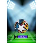 Uefa Avrupa Şampiyonlar Ligi Futbol Topu Maç ve Antreman Topu - Çok Renkli