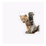 Ufak Bebek Aslan Araba Oto Sticker Etiket Renkli Z6