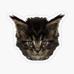 Ufak Bebek Kedi Araba Oto Sticker Etiket Renkli A1