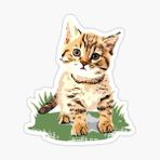Ufak Bebek Kedi Araba Oto Sticker Etiket Renkli A4