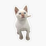 Ufak Bebek Kedi Araba Oto Sticker Etiket Renkli C1