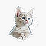 Ufak Bebek Kedi Araba Oto Sticker Etiket Renkli E2