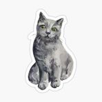 Ufak Bebek Kedi Araba Oto Sticker Etiket Renkli E5