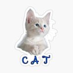Ufak Bebek Kedi Araba Oto Sticker Etiket Renkli E8