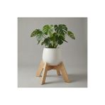 UĞRAŞ Dekoratif Ahşap Saksılık - Modern Dekoratif Bitki Saksı Altlığı 30 CM Çap (3 Farklı Renk Seçeneği)