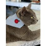 Uğur Böceği Kedi Bandana, Fular, Kedi Kıyafeti Kedi Elbisesi, Kedi Tasması