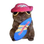 UKToyworld Capybara Yumuşak Oyuncak 10" Kırmızı Şapka Sörf Tahtası Capy Vibes Sadece Peluş