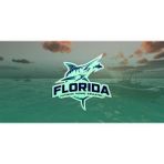 Ultimate Fishing Simulator Florida Dlc (Pc)