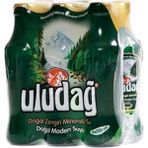 Uludağ Doğal Zengin Mineralli Maden Suyu 6 x 200 ml