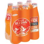 Uludağ Efsane Gazozu Portakallı 250 Ml X 6 Adet
