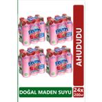 Uludağ Frutti Ahududu Aromalı Maden Suyu 200 ml x 24 Adet