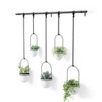 Umbra Triflora vazo, asma çiçek saksısı, duvar vazosu, duvar ve tavan montajı için çiçek askısı, 5'li set, beyaz