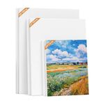 Umllpet Boyama için tuval 6 adet, kasnak seti boş kanvas tablo 30x20, 20x15, 15x10 cm, boyama için tuval seti, tuval seti, tüm renk türleri için pamuklu tuval