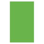 Umur Fosforlu 160 gr 50x70 cm Green 100'lü Fon Kartonu