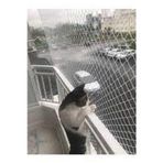 Ünal File 2,50X5 Metre Kedi Filesi Balkon Filesi Sık Dokuma Kalın kuş filesi 2 MİLİM