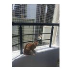 ünal file Balkon Kedi Güvenlik Filesi Kedi Ağı Kalın Balkon Kuş Güvercin Önleme Ağı 2.50x15 Metre