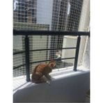 Ünal File Balkon Kedi Kuş Güvercin Önleme Ağı 2.50X12 Metre - 2,50 x 12 m