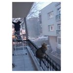 ünal file Kedi Güvenlik Filesi 2,5x6 Metre Balkon Kuş Koruma Ağı Göz 2 cm Kalınlık 2 mm