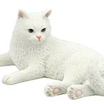Unbekannt Beyaz Kedi British Shorthair