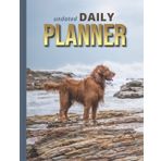 Undated Daily Planner: 8.5x11 One Page Per Day Diary / 365 Logs / 6AM to 7PM Hourly Schedule / Golden Retriever on Beach Art Photo / To Do List ... / Time Management Gift For Organized People