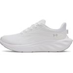 Under Armour Ascend Kadın Spor Ayakkabı 6009828-100
