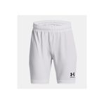 Under Armour Erkek Çocuk UA Core Şort 1375831-100
