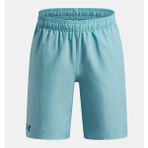 Under Armour Erkek Çocuk Ua Tech Woven Şort 1377264-425 - 10 - 12 Yaş - Mavi -425