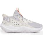 Under Armour Jet '23 Erkek Basketbol Ayakkabısı 3026634-011 Gri - 45,5