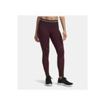 Under Armour Kadın UA Coldgear Textured Tayt 6003997-600