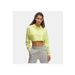 Under Armour Kadın UA Icon Terry Crop Kapüşonlu Sweatshirt