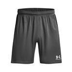 Under Armour UA M Challenger Train Short Erkek Şort Castlerock / / White SM