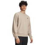 Under Armour UA Rival LW Crew Normal Fit Sweatshirt, S, 5003344388, Vizon, erkek