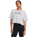 Under Armour UA W BOXY CROP BRANDED SS Kadın Basic Tişört, Gri, LG