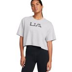 Under Armour UA W BOXY CROP BRANDED SS Kadın Basic Tişört, Gri, XL