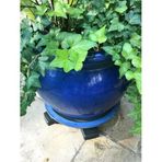 Under Plant Caddie S20410lvc Bosmere, 50,8 Cm, Kömür, İnç