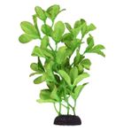 Underwater Treasures Silk Bacopa Monnieri - 20,32 cm