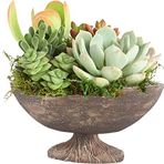 UniqueHome UV-1015-1 Versay Antik Vazo