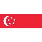 Uniquetrenders Singapur Gönder Bayrağı 100X150 Cm.