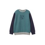 United Colors of Benetton Erkek Çocuk Koyu Yeşil-Gri Önü Logo Baskılı Nervürlü Şardonlu Sweatshirt, 13-14-yas, 225A3EB5C10R5, Koyu Yeşil-Gri, erkek-çocuk